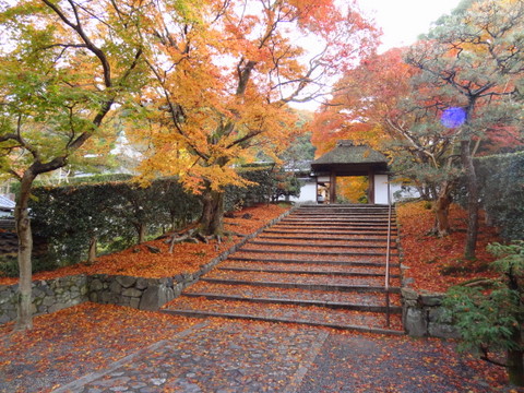 2012120241