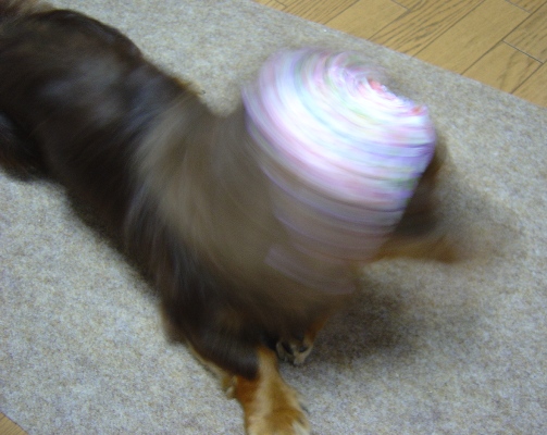 060810c.jpg