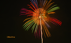 スピリチュアリティカード