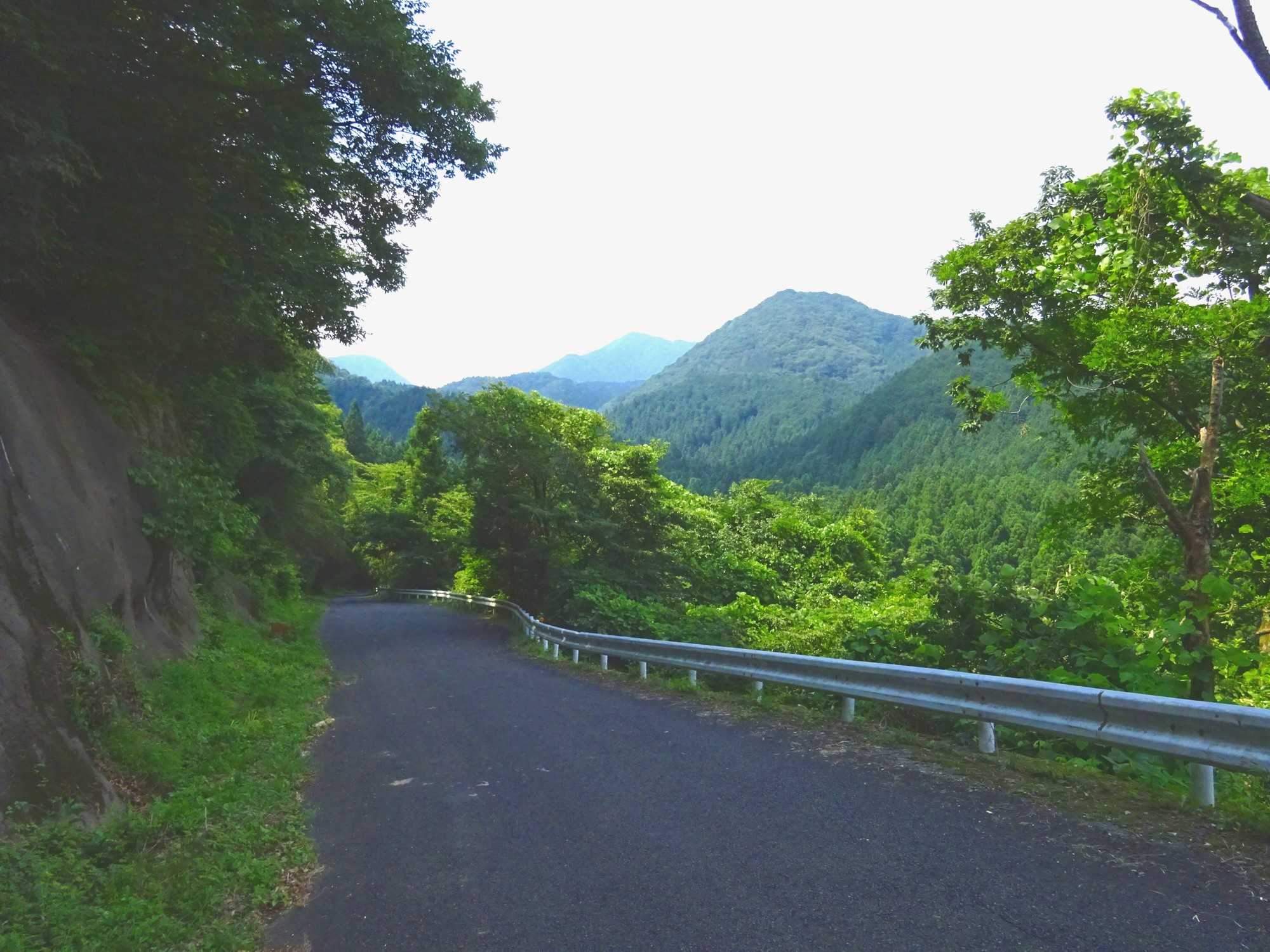 榛名山林道で ジョギング王子 30分！ 7月20日 | 山と花と小型車でサイクリング！ - 楽天ブログ