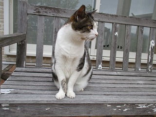 IMG_7840ss.jpg
