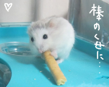 タバコのふり～.jpg