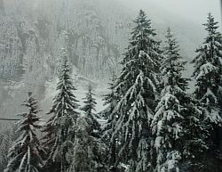 snow