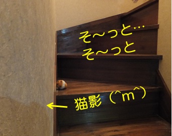 20121026_5.jpg