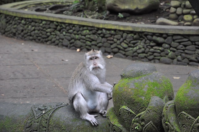 バリ島ウブド_064.JPG