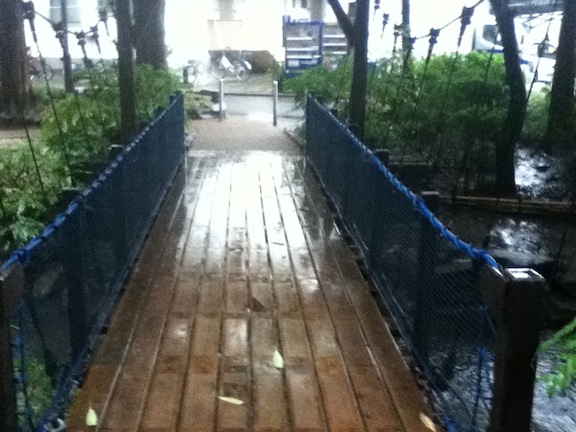 小松川境川親水公園10