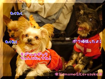 P1170555.jpg