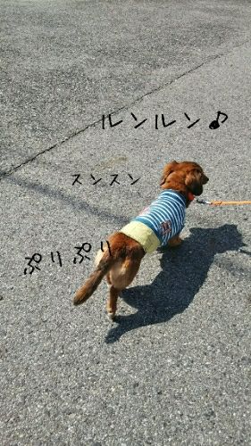 rblog-20180312145400-01.jpg