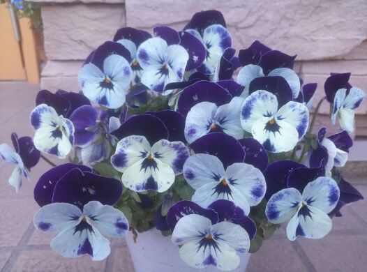 rblog-20140411204549-01.jpg