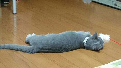 rblog-20170222184429-00.jpg