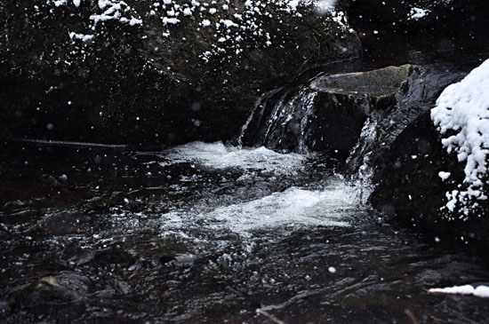 雪５