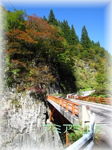 秋山郷_8