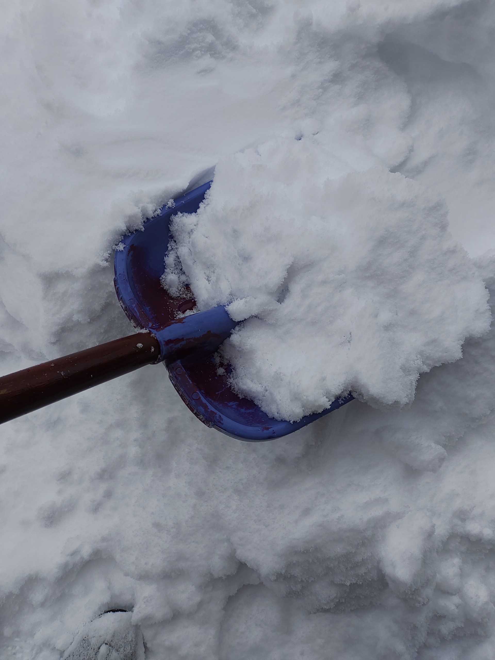 新潟市内 大雪 オレンジ園芸ヽ ﾉ 楽天ブログ