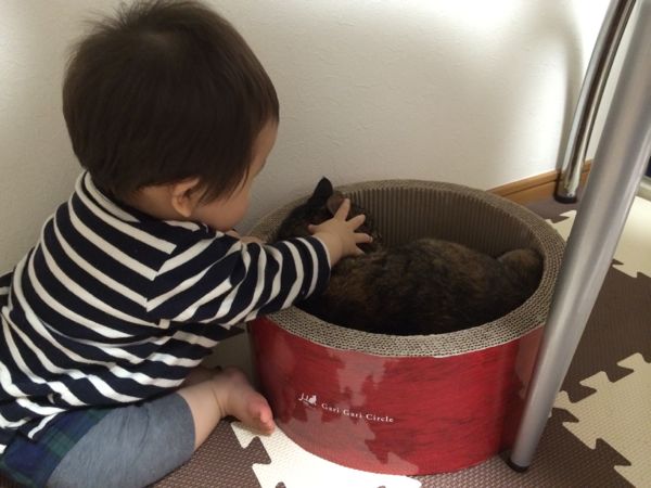 rblog-20140927193627-01.jpg