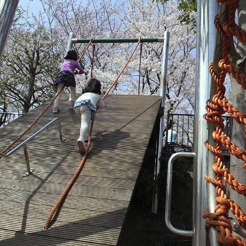 2012041013330000.JPG