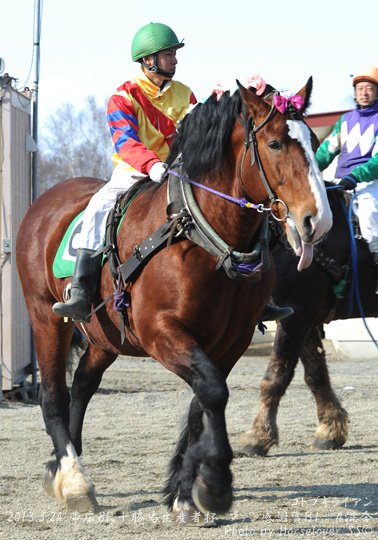 06KotobukiRyan032413Ob8R_02