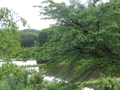 CIMG0678.JPG