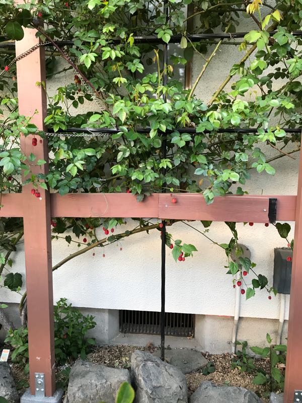rblog-20180408182201-01.jpg