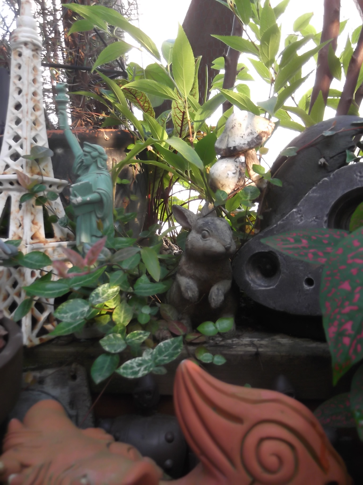 DSCF4773.JPG