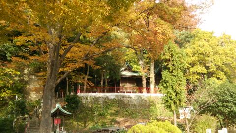 rblog-20141125070722-01.jpg