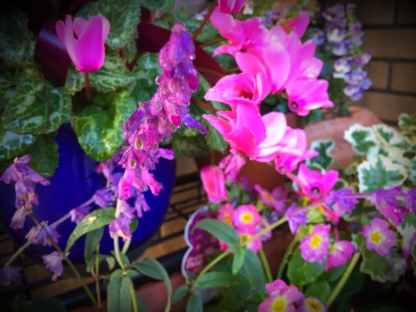 rblog-20151229111114-03.jpg