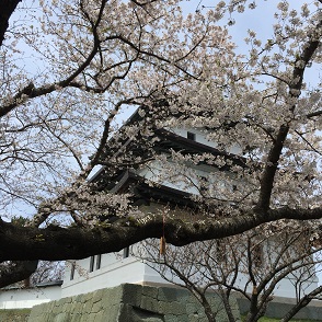 ５－６５城５.JPG