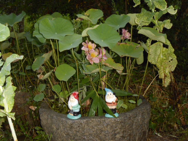 DSCN0392.JPG