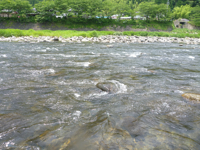 resize0028.jpg