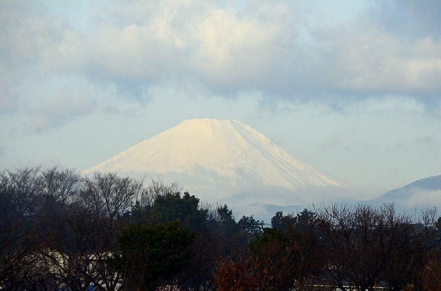 やっと現れた富士