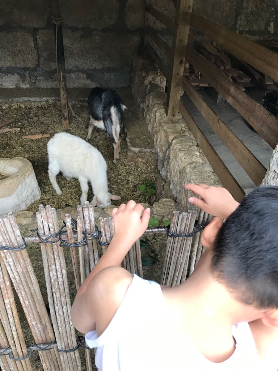 rblog-20190110021636-01.jpg