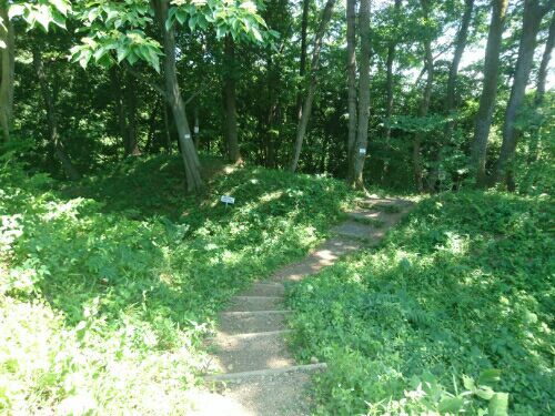 rblog-20180705001137-02.jpg
