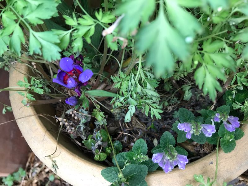 rblog-20190426181233-05.jpg