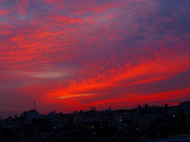 朝日赤い.jpg