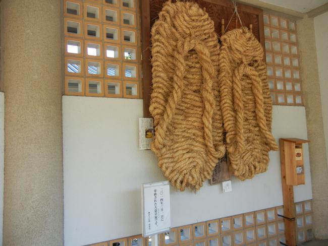 DSCN6732.JPG