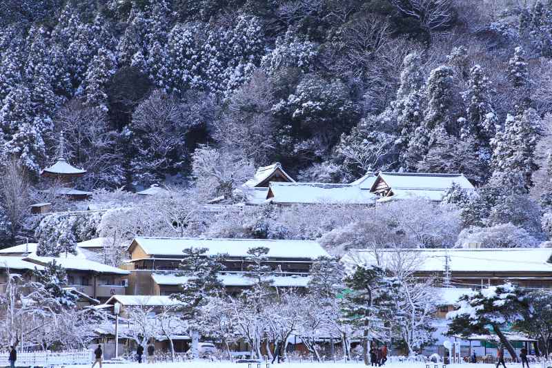 雪の嵐山_003.jpg