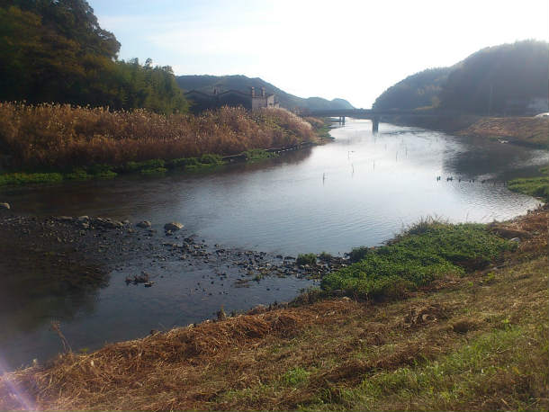 s100.jpg