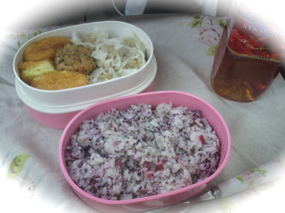 P1010041.jpg