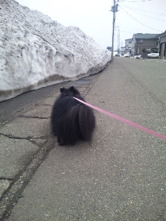 2012-03-09 16:46:29