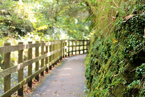 橋立吊り橋