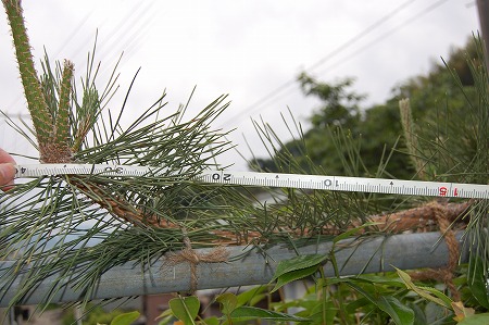 s-DSC_0163.jpg