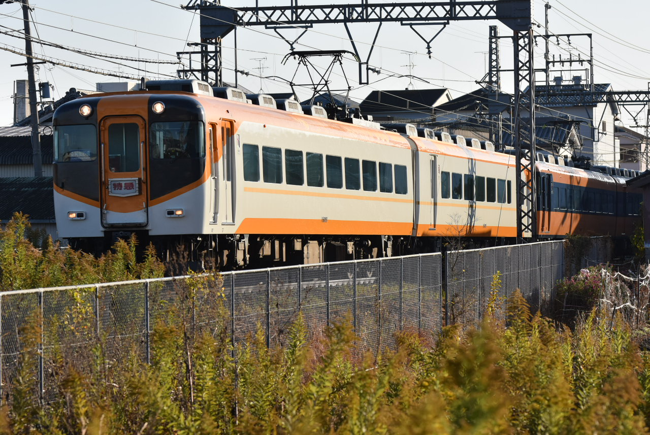 DSC_7878.JPG