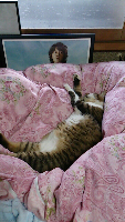 rblog-20130620094156-01.png