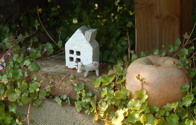 DSC_0155.JPG