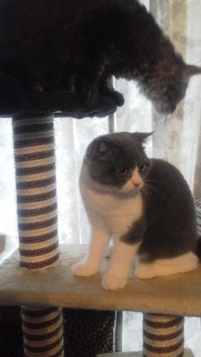 20140728153621.jpg