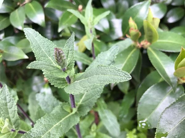 rblog-20170429153020-04.jpg
