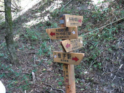 IMG_0001_166.jpg