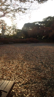 121124_151147.jpg