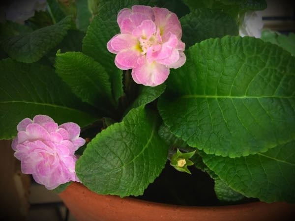 rblog-20160427175718-07.jpg