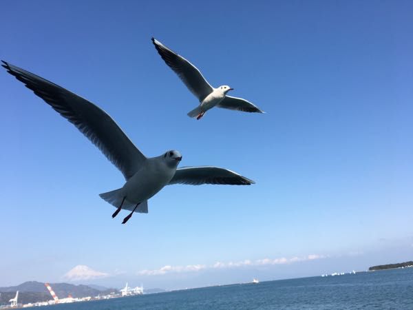 rblog-20180124054230-05.jpg