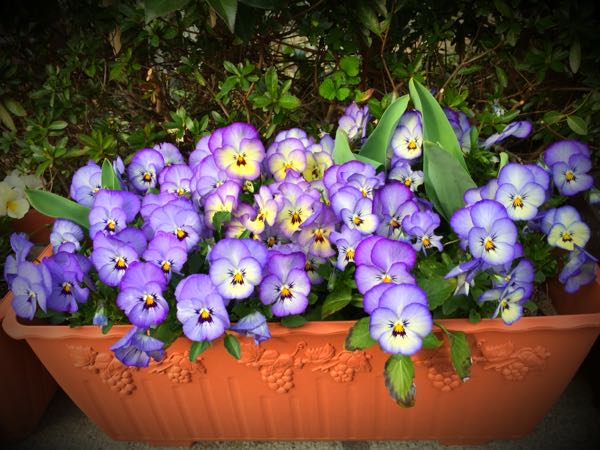 rblog-20160330183729-09.jpg